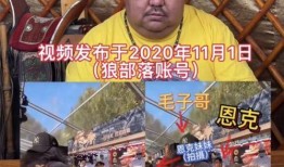 狼部落毛子哥爆料视频,视频爆料背后的惊人真相